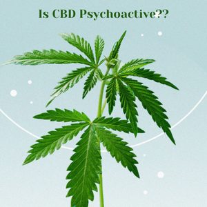 Is Cannabidiol (CBD) psychoactive?